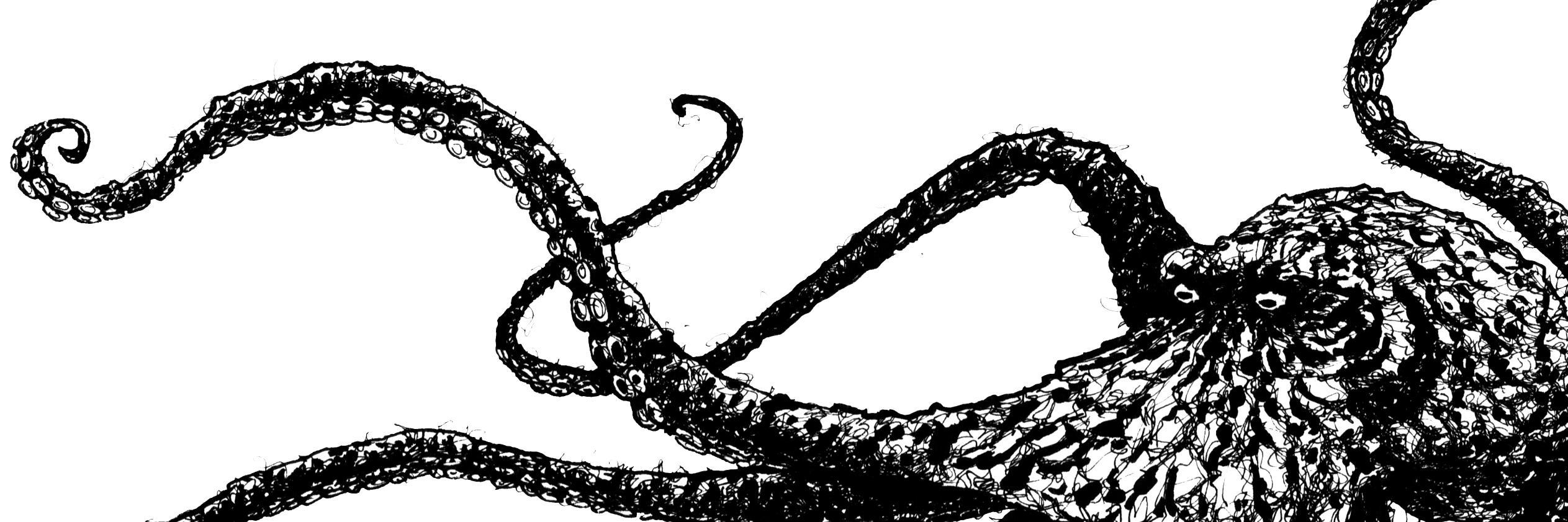 Jake McKinlay banner