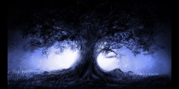 Liadian's profile banner image