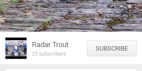 RadarTrout's profile banner image