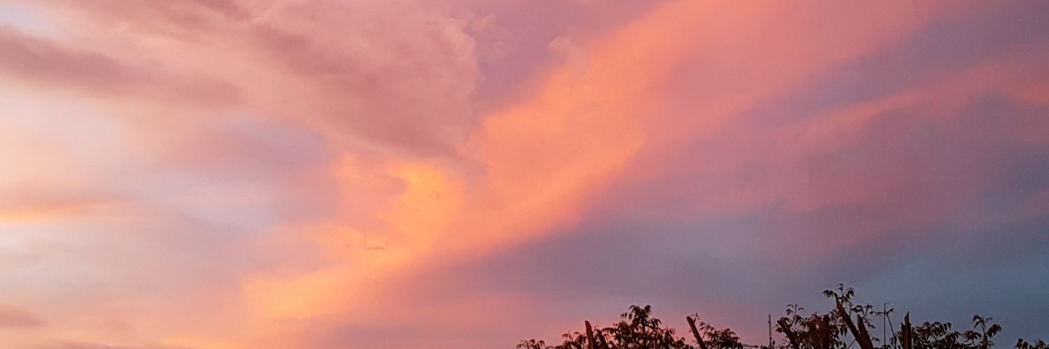 tainah_16's profile banner image