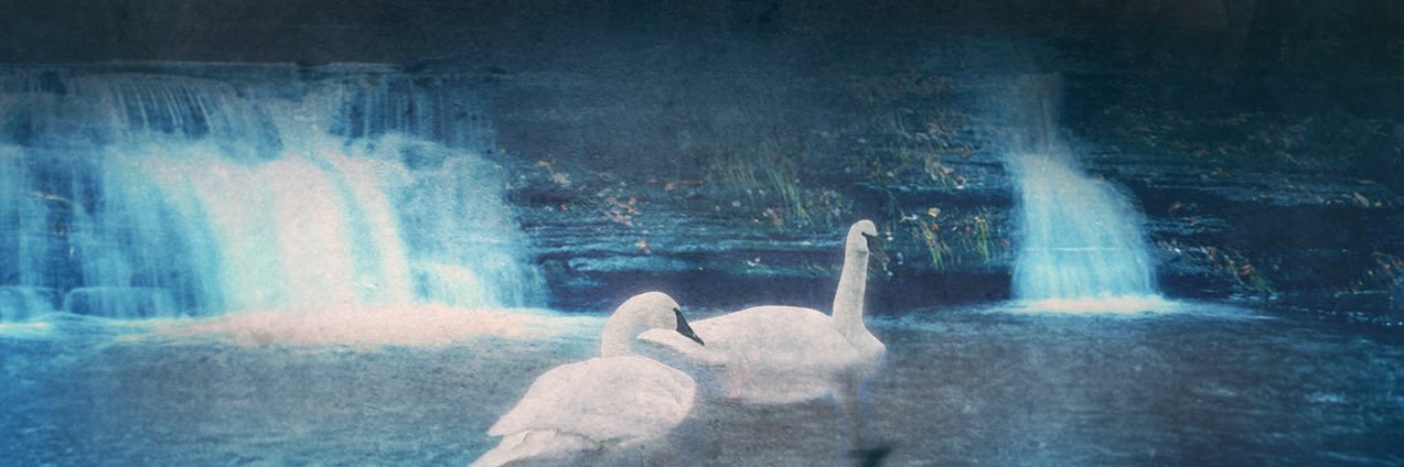 The Fight For Bala banner