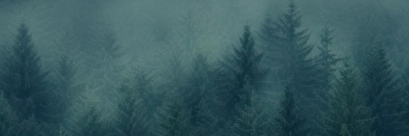 Senzyri's profile banner image