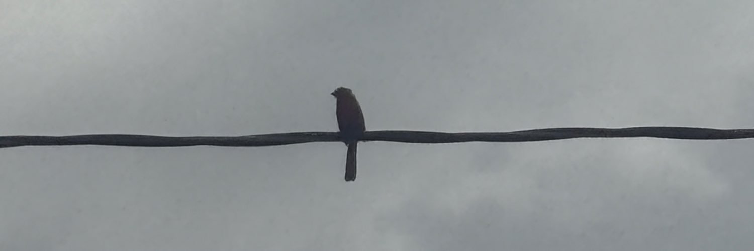 eddiethewordsmiff banner