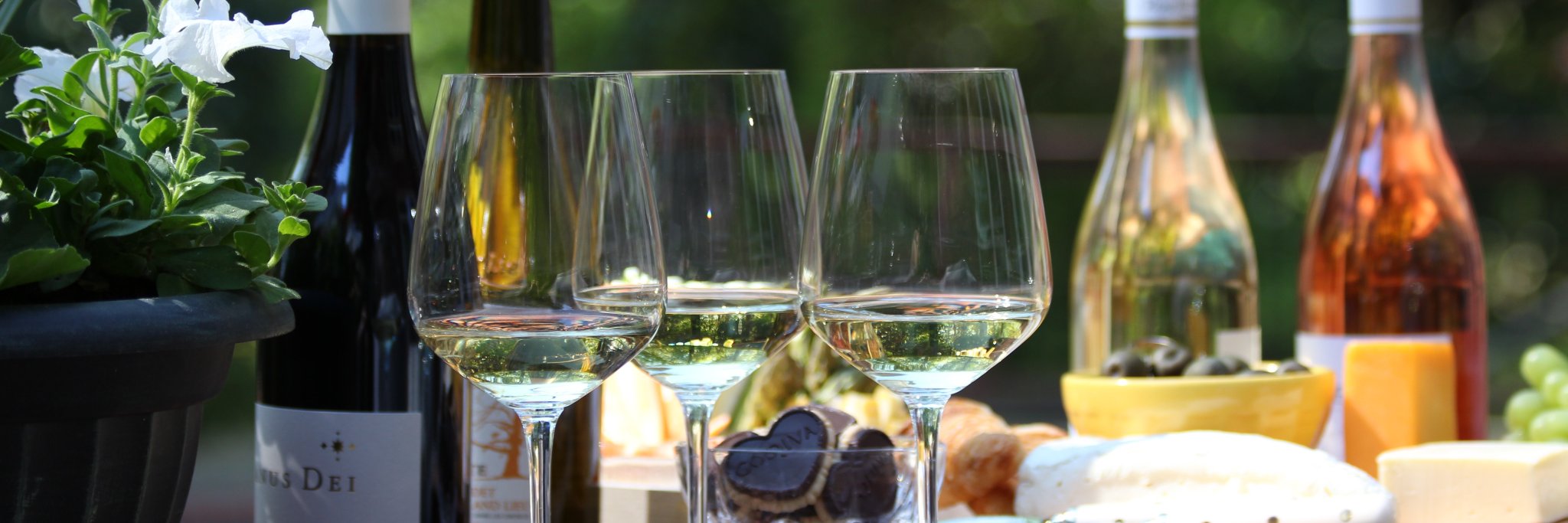 verandaandvine's profile banner image