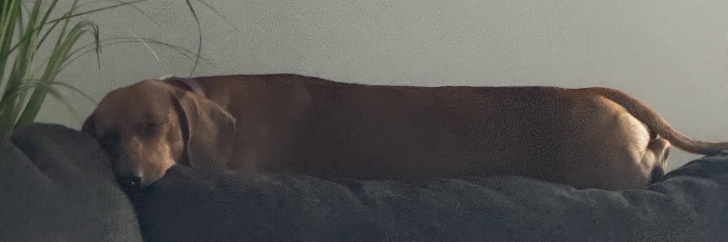 wangwhore7's profile banner image