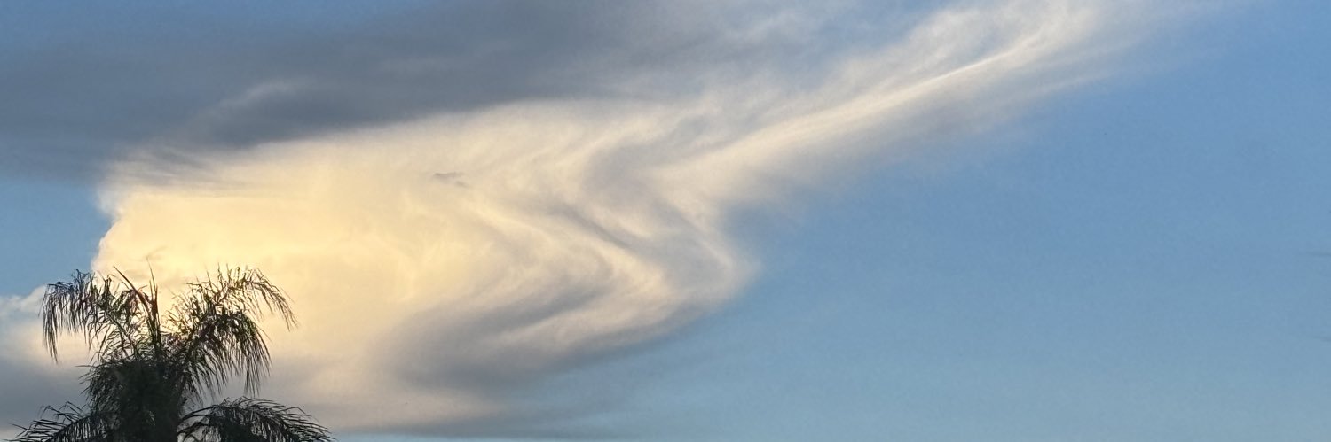 sarahhhcha's profile banner image