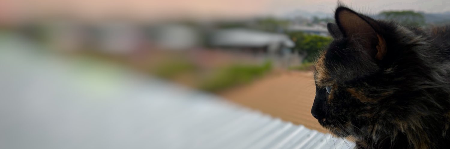 _lisbxx's profile banner image