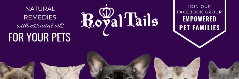 royaltails's profile banner image