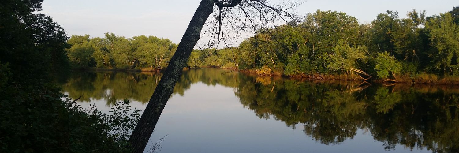travnelson's profile banner image
