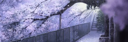 JaaysonC's profile banner image