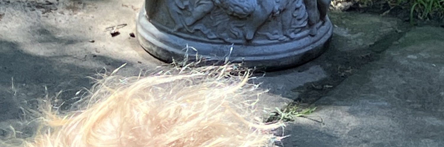 dntneedareason0's profile banner image