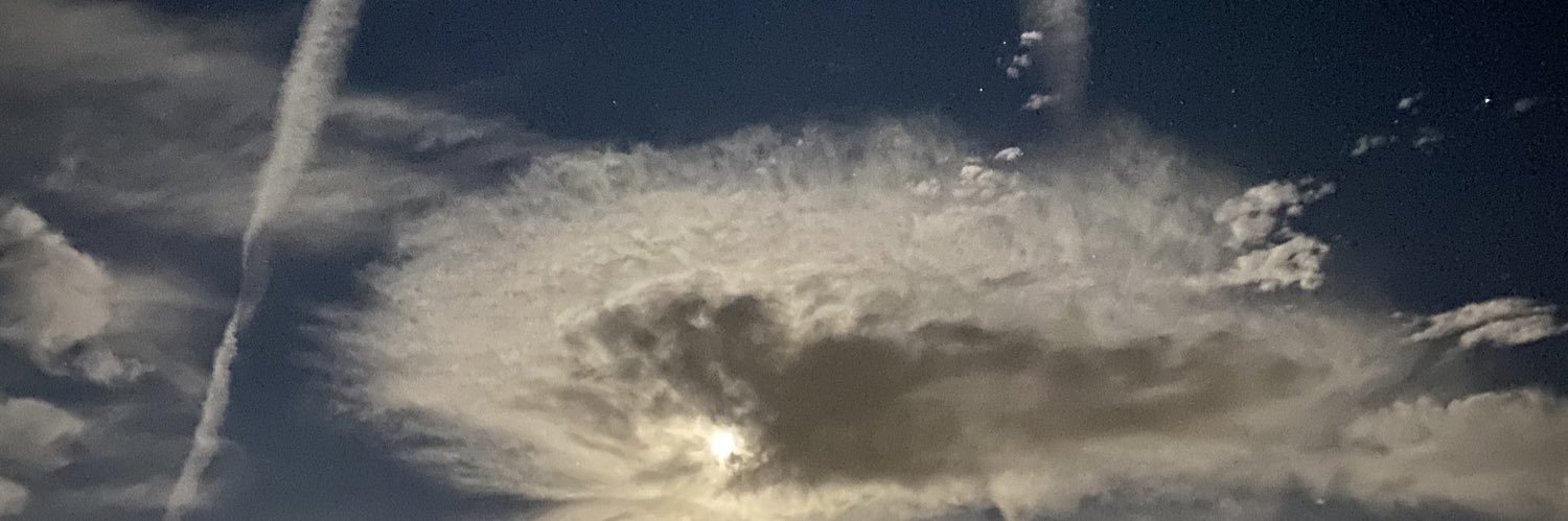 lexyejelliff's profile banner image