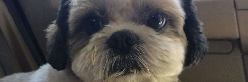 JulisaHarper's profile banner image
