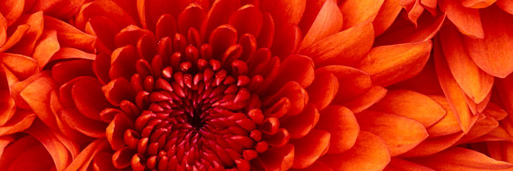 BertaBrat's profile banner image