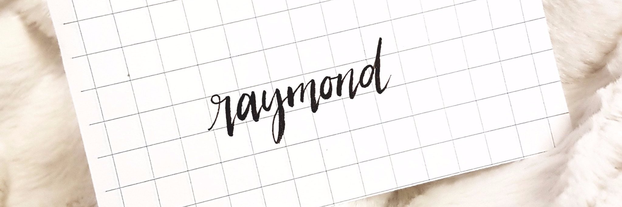 raimunddd's profile banner image
