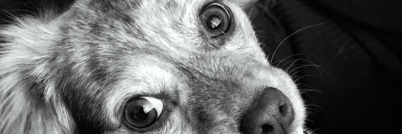 martijndocter's profile banner image