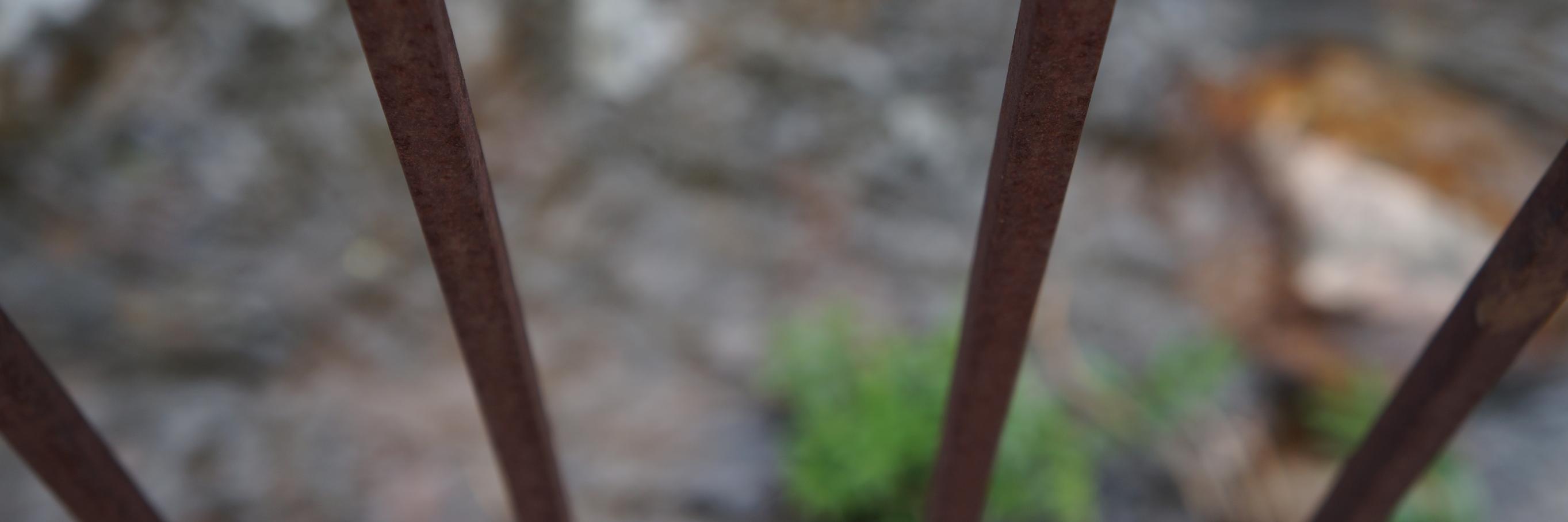incoherentisms's profile banner image