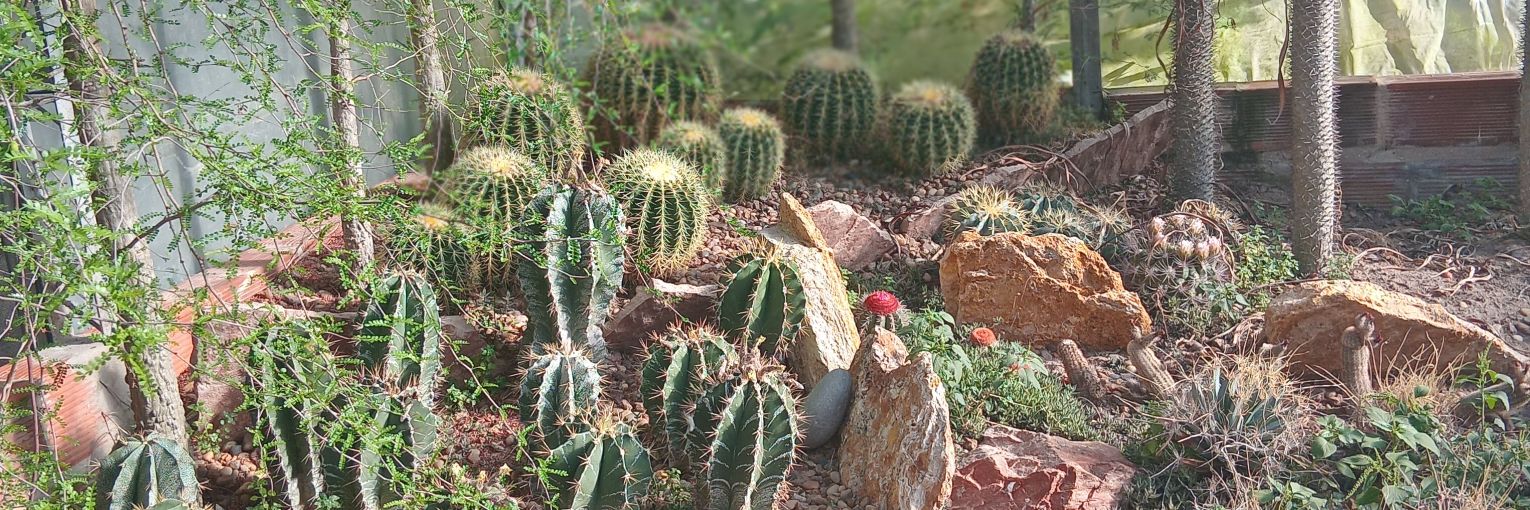 JuaniCafferata's profile banner image