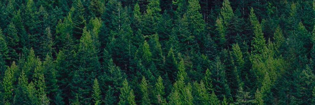 eprust128's profile banner image