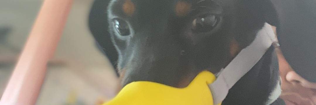 _JohnIsaac_'s profile banner image