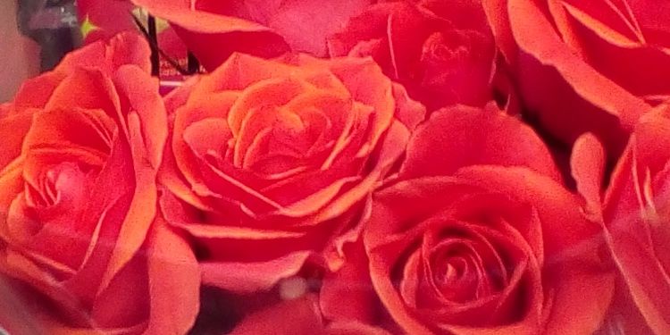 FemaleBlogger22's profile banner image