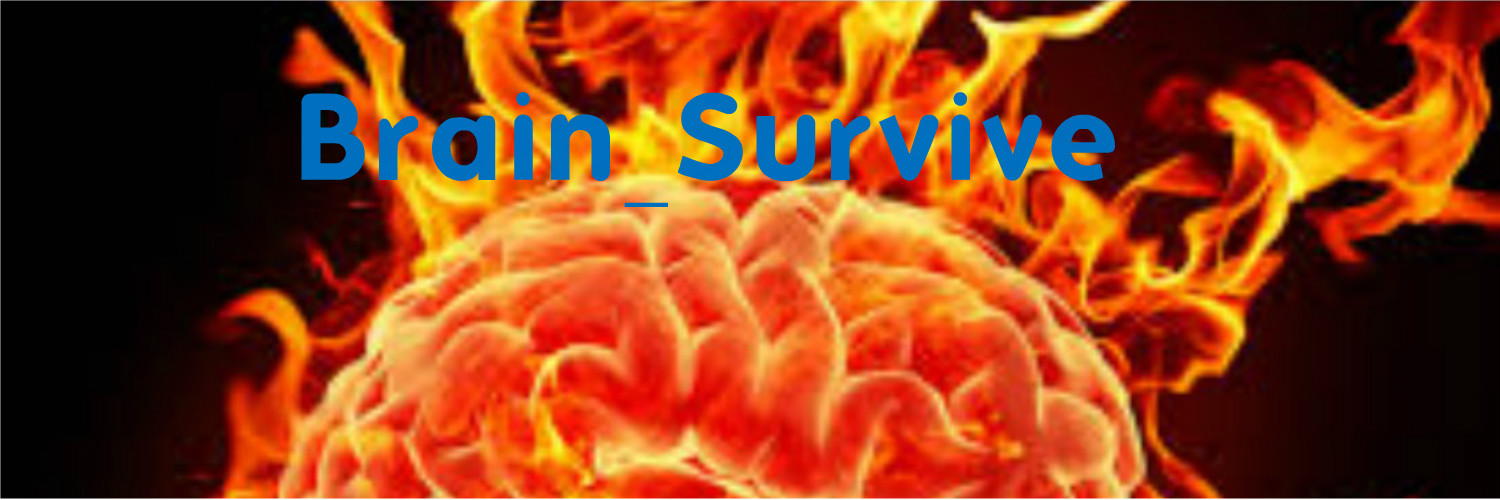 BRAIN_Survive's profile banner image