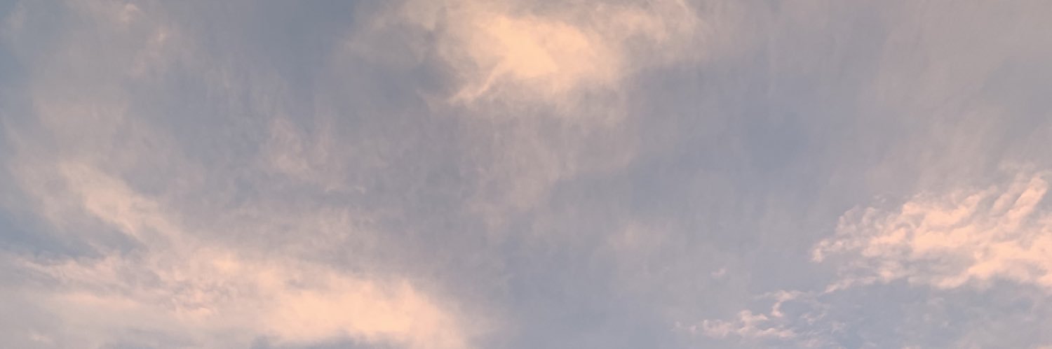 Lau_rennnn's profile banner image