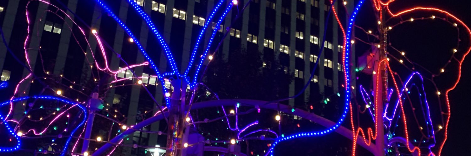 nallyveeM's profile banner image