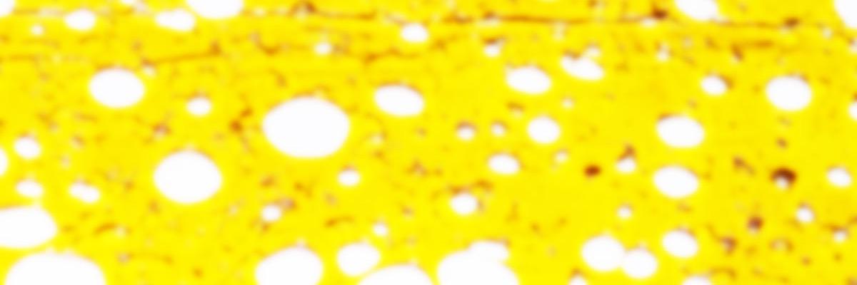 TheTerpTalk's profile banner image