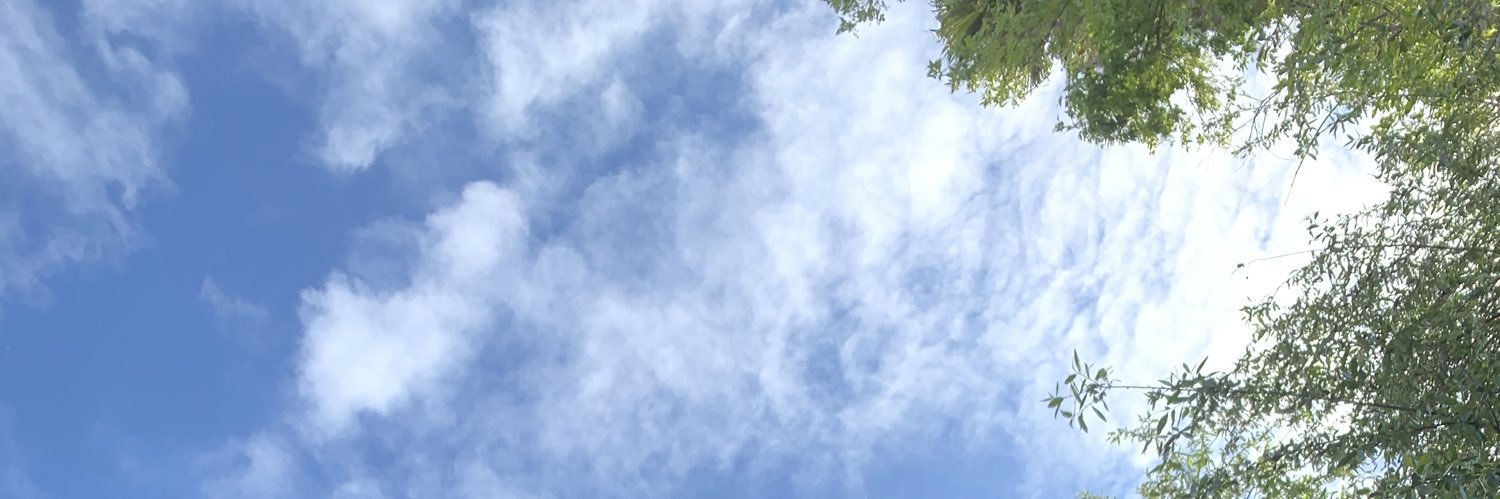 grubislife's profile banner image