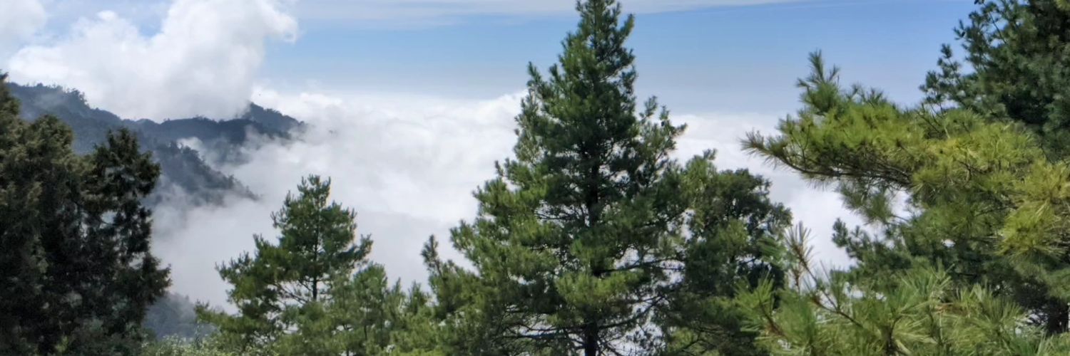 aa39283tw's profile banner image