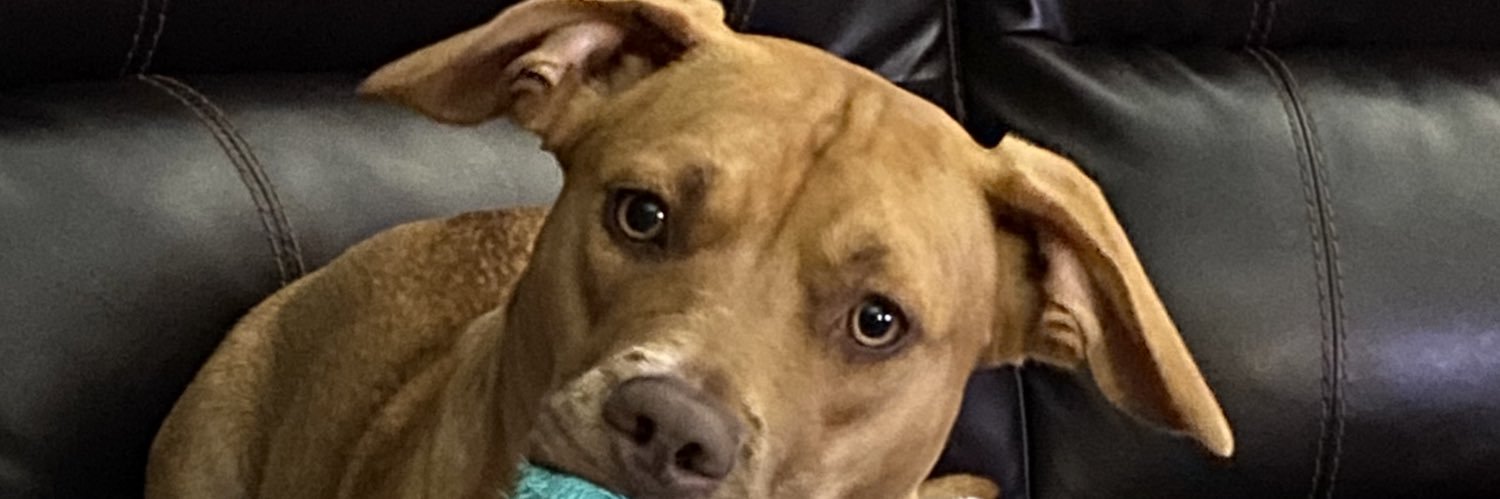 kingangela77's profile banner image