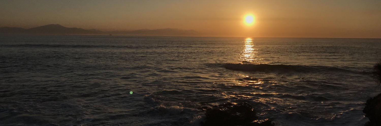 Rachel O'Connell banner