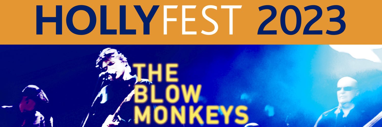 Helping Holly x banner