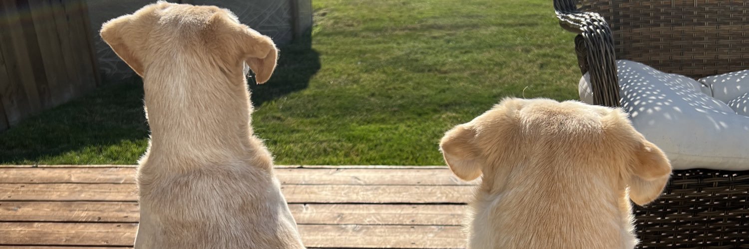 eberco5's profile banner image