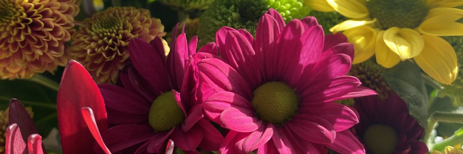 geektchr's profile banner image