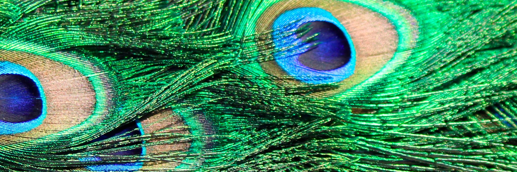 Becccalynnn's profile banner image