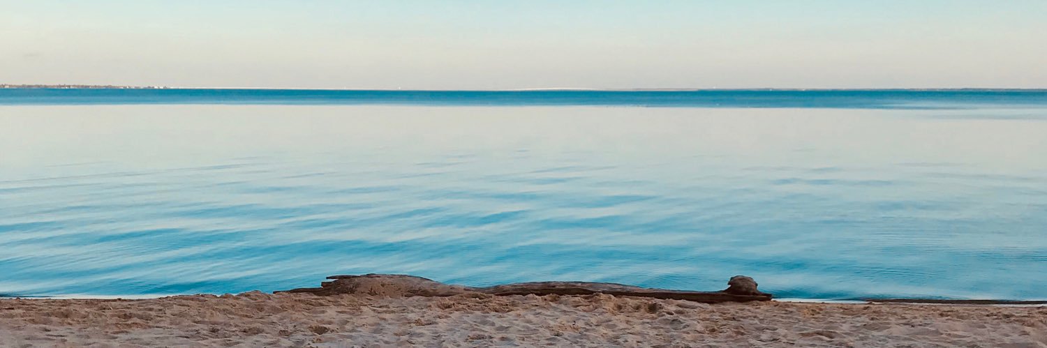 dothereggie's profile banner image