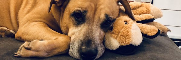 RvaShannon Profile Banner