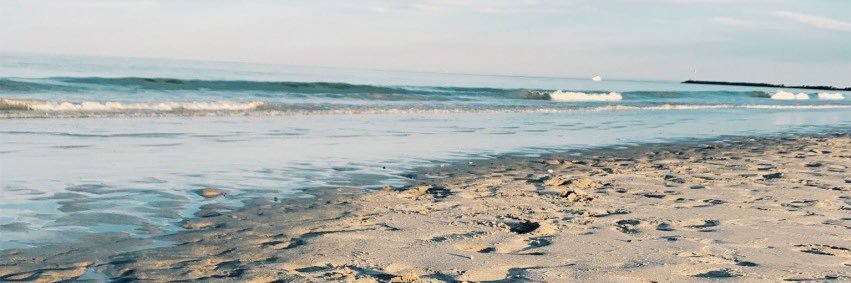 nicolebusha's profile banner image