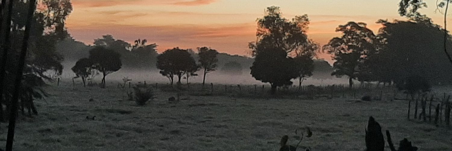 AlbPerOva's profile banner image