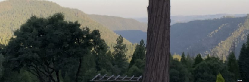 jack_tarman's profile banner image