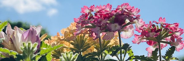 MarkFinLon Profile Banner