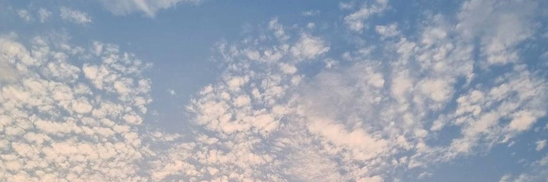 maykoz217's profile banner image