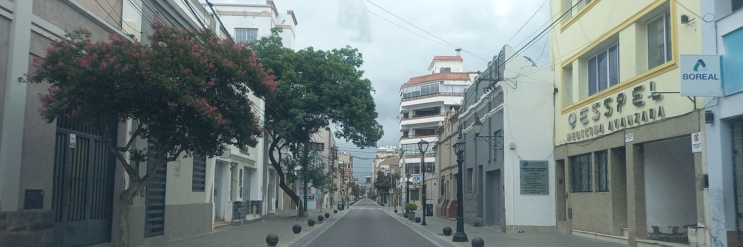 bosquealegre12's profile banner image