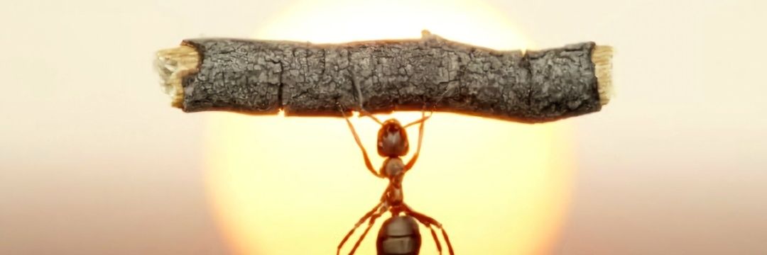 MsahZuma's profile banner image