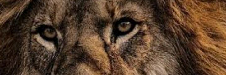 Denersants's profile banner image