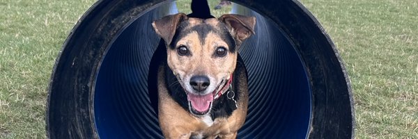 HarrieM Profile Banner