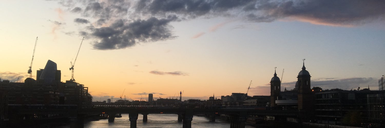 annifitz's profile banner image