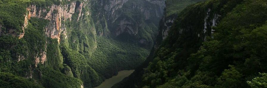 Sólo en Chiapas banner